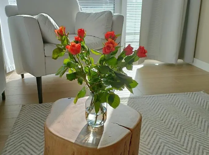 Apartment Polanki Aqua 105b *